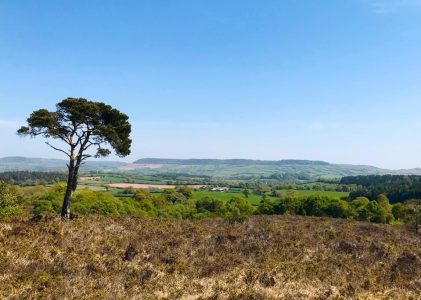 Green Funerals for Budleigh Exmouth and East Devon